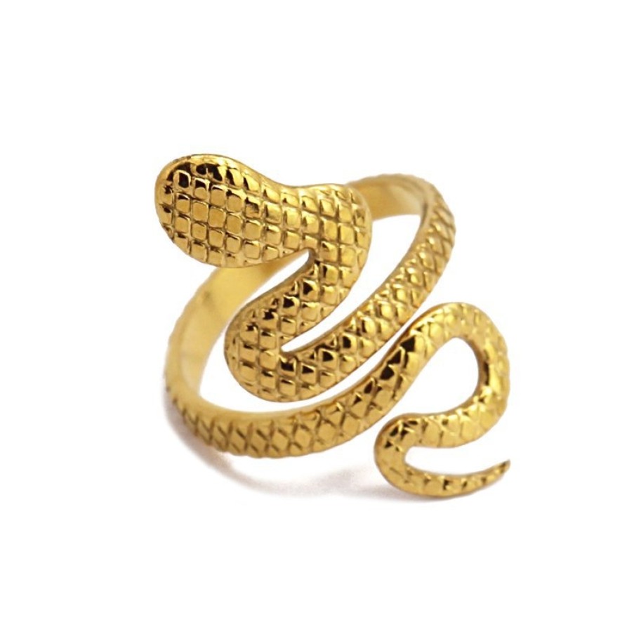 Accessoires ANARTXY | Bague Serpent Aan709 - Anartxy