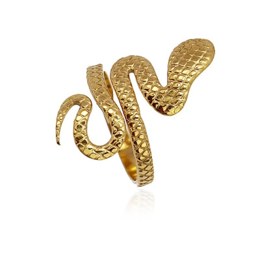 Accessoires ANARTXY | Bague Serpent Aan709 - Anartxy